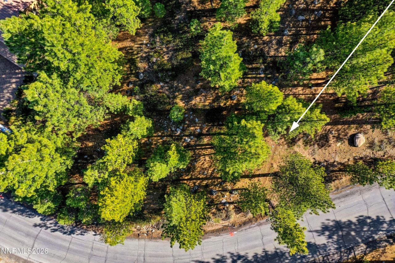 1205 Douglas Fir Drive, Reno, NV 89511 Photo