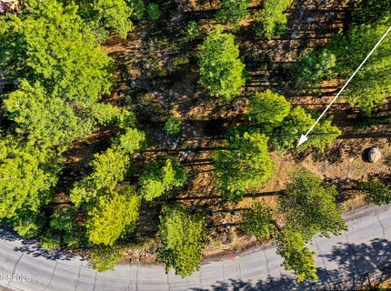 1205 Douglas Fir Drive, Reno, NV 89511 Photo