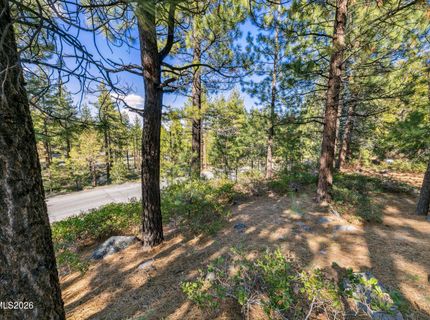 1205 Douglas Fir Drive, Reno, NV 89511 Photo