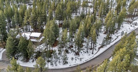1205 Douglas Fir Drive, Reno, NV 89511 Photo