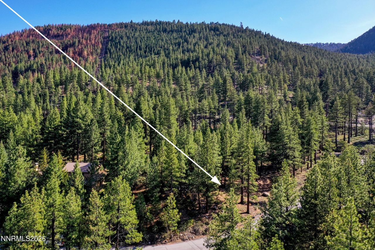 1205 Douglas Fir Drive, Reno, NV 89511 Photo