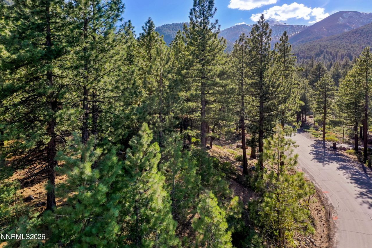 1205 Douglas Fir Drive, Reno, NV 89511 Photo