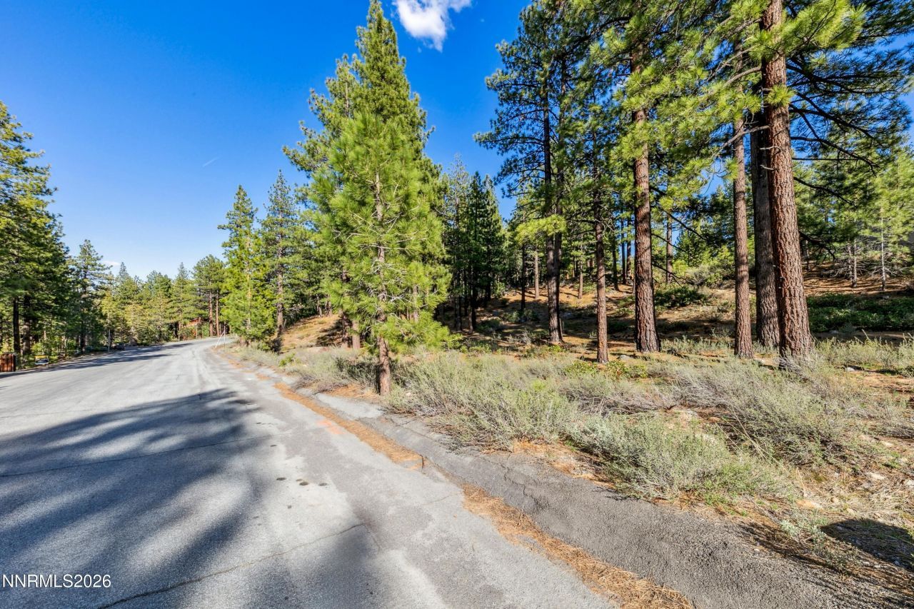 1205 Douglas Fir Drive, Reno, NV 89511 Photo