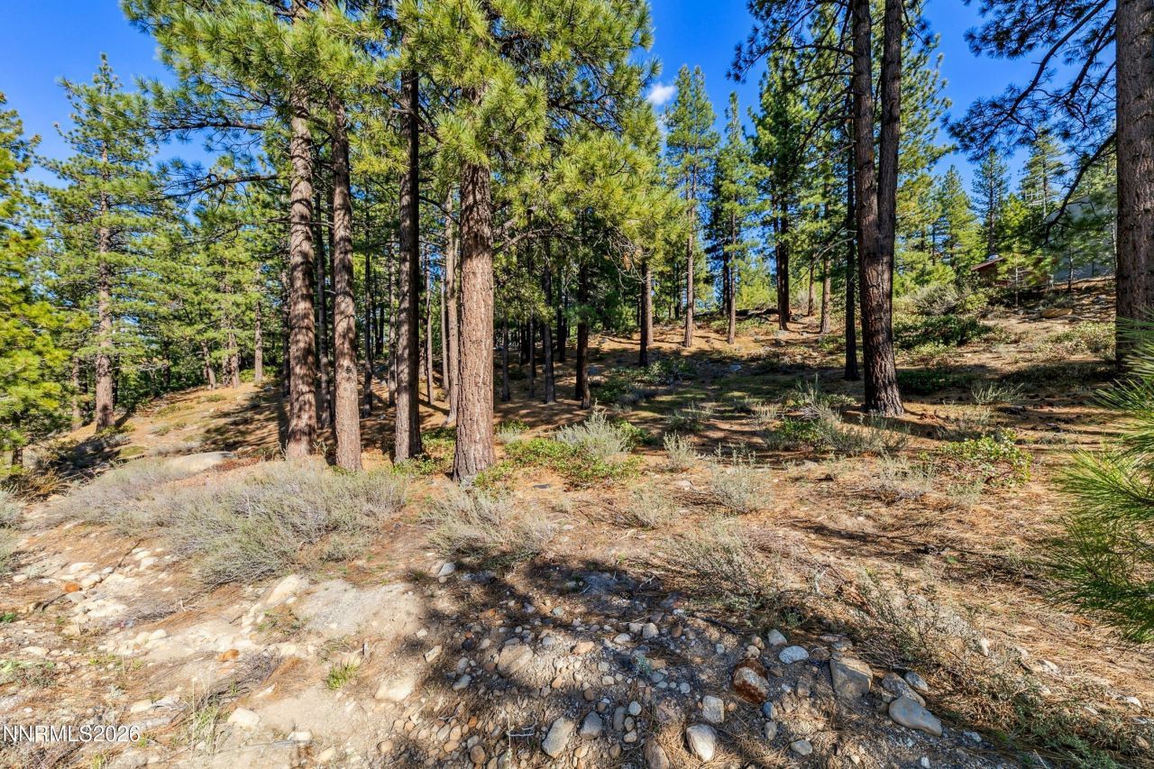 1205 Douglas Fir Drive, Reno, NV 89511 Photo