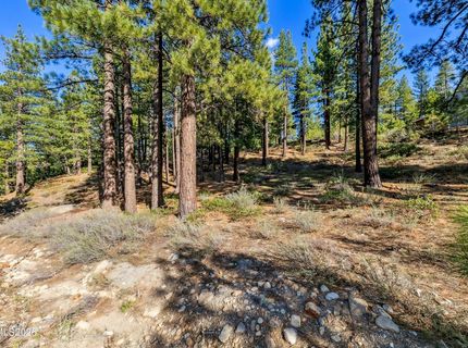 1205 Douglas Fir Drive, Reno, NV 89511 Photo