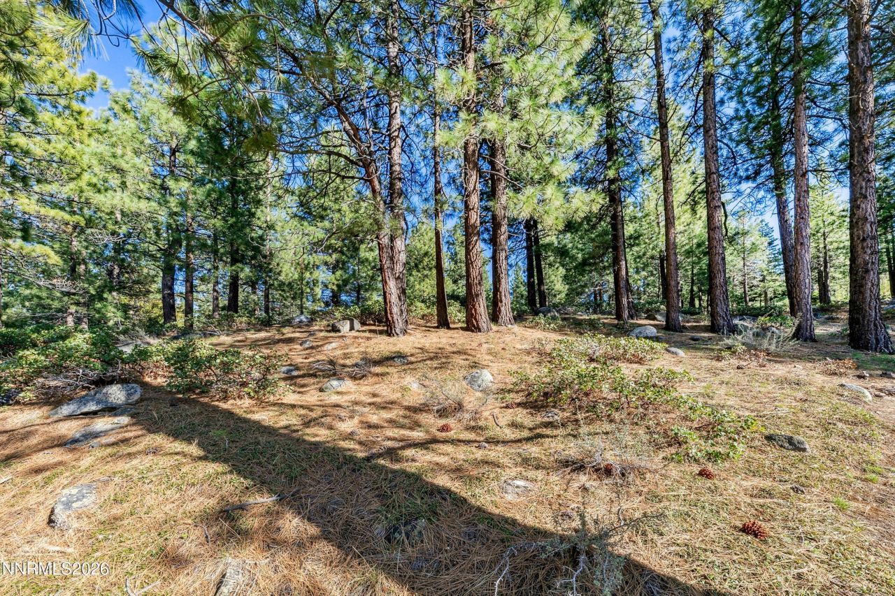 1205 Douglas Fir Drive, Reno, NV 89511 Photo