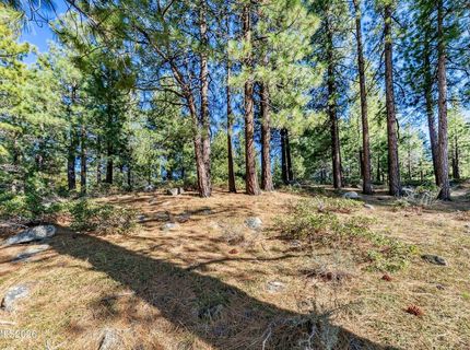 1205 Douglas Fir Drive, Reno, NV 89511 Photo