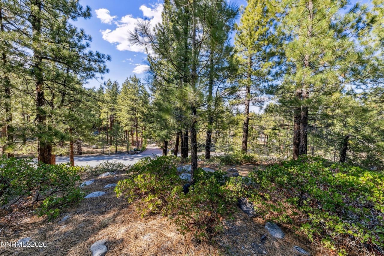 1205 Douglas Fir Drive, Reno, NV 89511 Photo