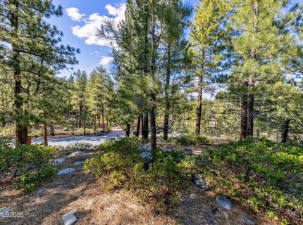 1205 Douglas Fir Drive, Reno, NV 89511 Photo