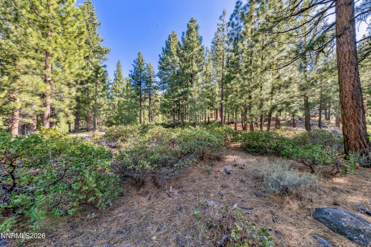 1205 Douglas Fir Drive, Reno, NV 89511 Photo