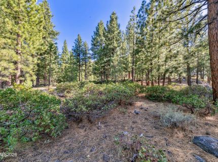 1205 Douglas Fir Drive, Reno, NV 89511 Photo