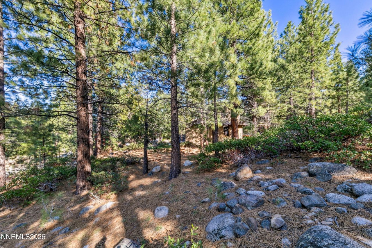 1205 Douglas Fir Drive, Reno, NV 89511 Photo