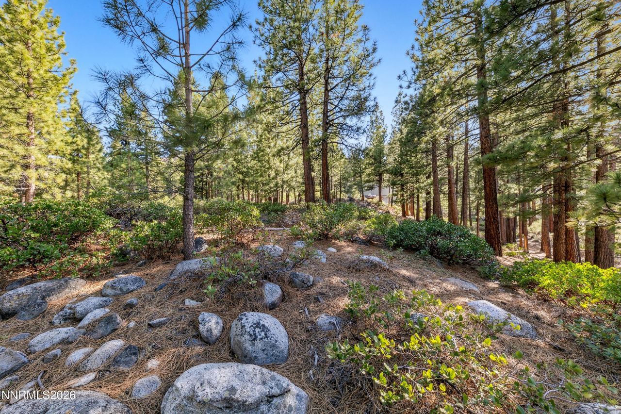 1205 Douglas Fir Drive, Reno, NV 89511 Photo