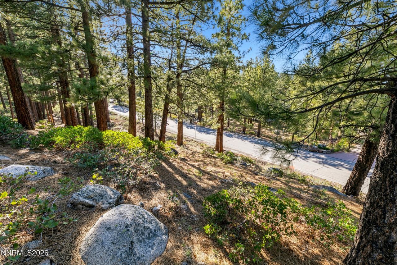 1205 Douglas Fir Drive, Reno, NV 89511 Photo