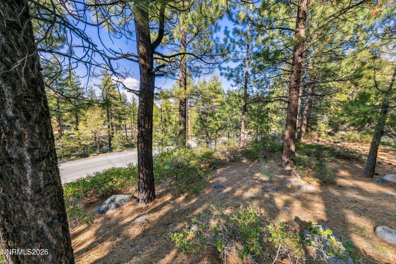 1205 Douglas Fir Drive, Reno, NV 89511 Photo