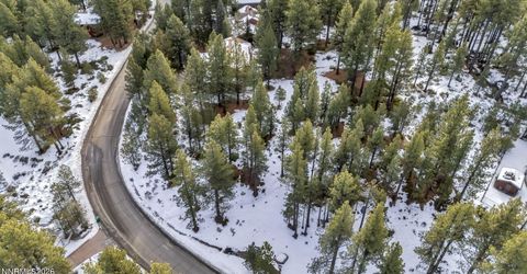 1205 Douglas Fir Drive, Reno, NV 89511 Photo