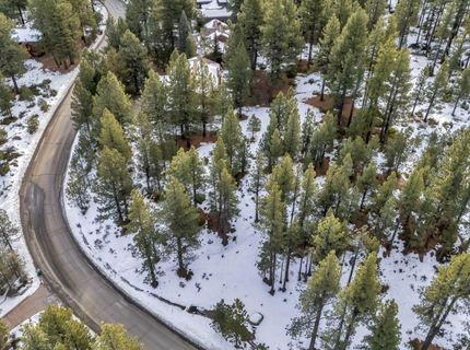 1205 Douglas Fir Drive, Reno, NV 89511 Photo