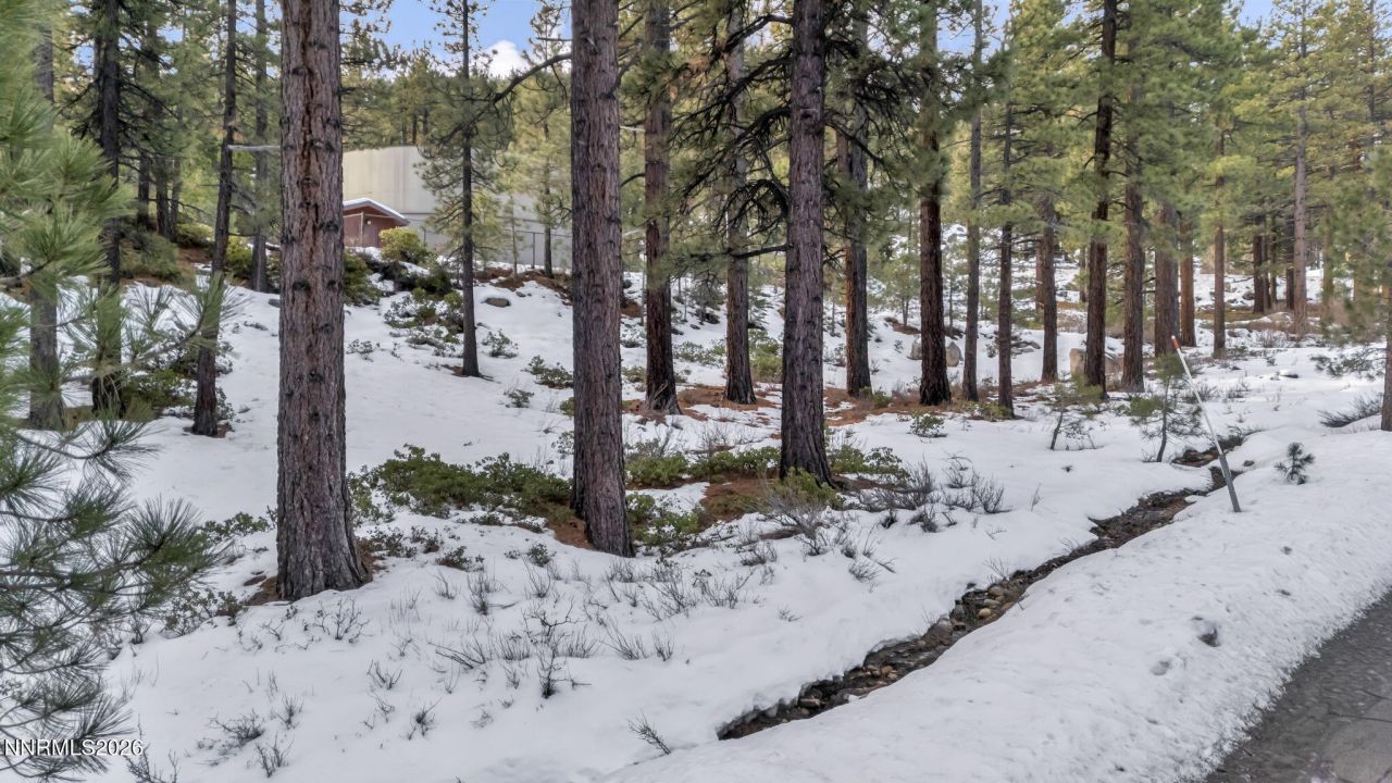 1205 Douglas Fir Drive, Reno, NV 89511 Photo