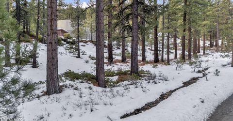 1205 Douglas Fir Drive, Reno, NV 89511 Photo