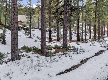 1205 Douglas Fir Drive, Reno, NV 89511 Photo