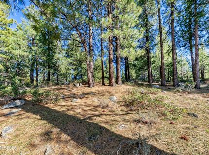 1205 Douglas Fir Drive, Reno, NV 89511 Photo