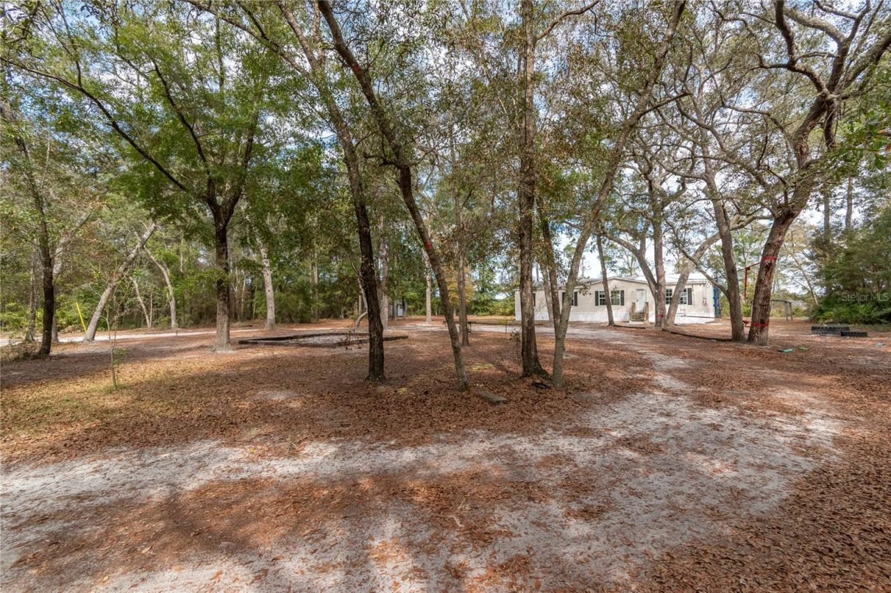 20606 NE 51st Lane, Earleton, FL 32631 Photo
