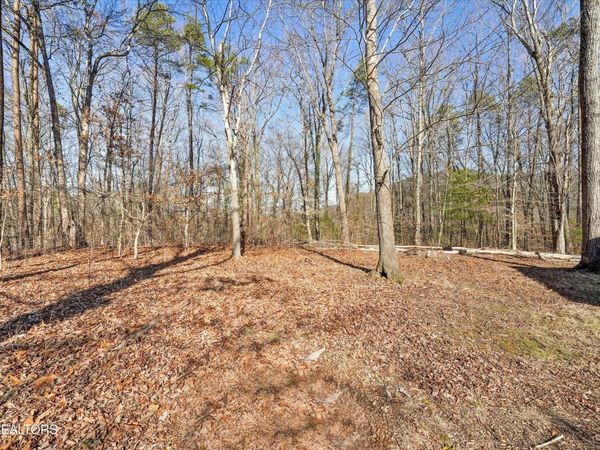 Charles Young Rd, Walland, TN 37886