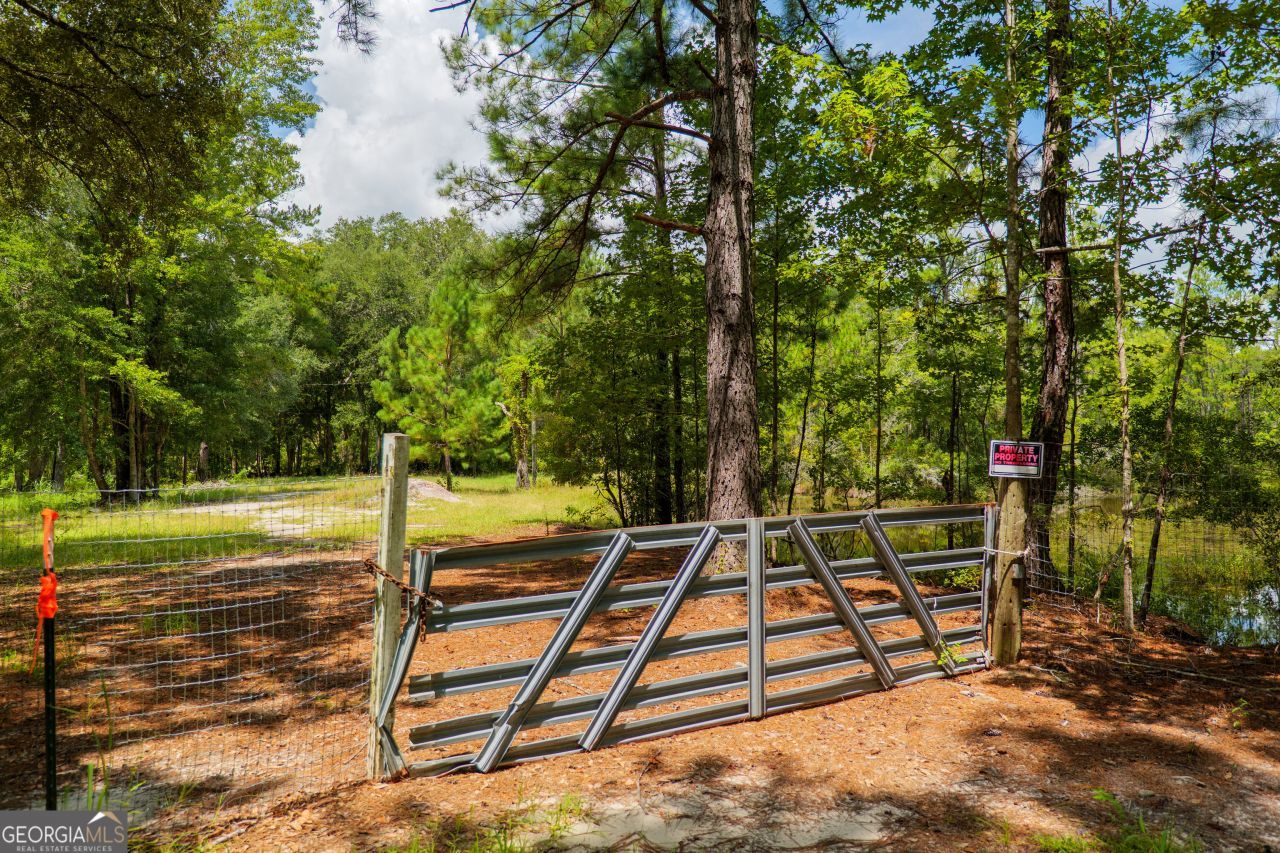 99 Eagle Nest, Fargo, GA 31631 Main Photo