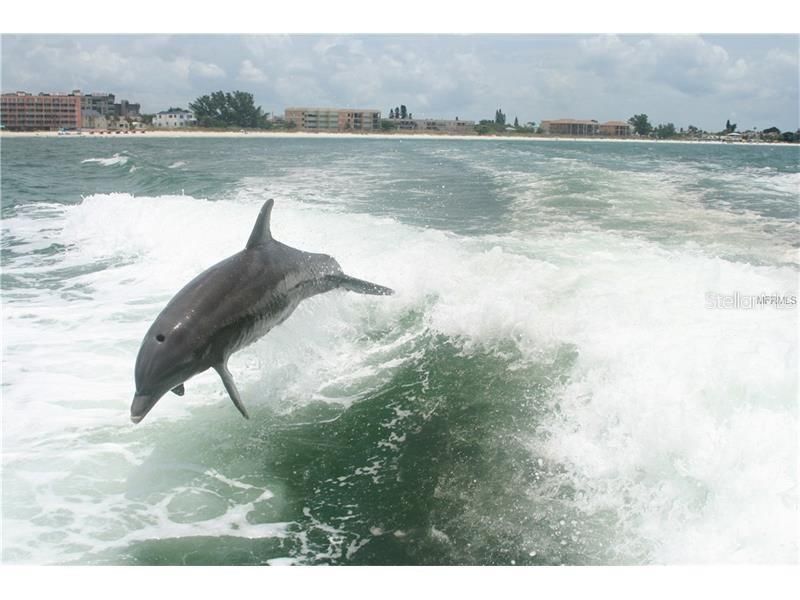 650 Island Way, Unit 708, Clearwater Beach, FL 33767 Photo