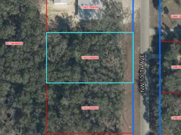 TBD NW 110TH AVENUE, CHIEFLAND, FL 32626