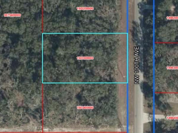 TBD NW 110TH AVENUE, CHIEFLAND, FL 32626
