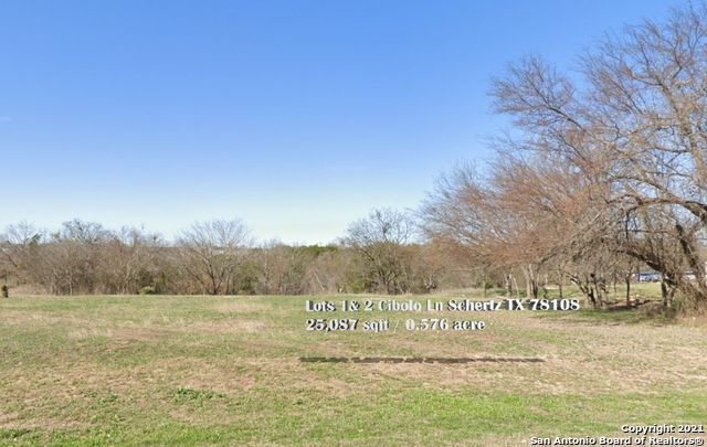Lot 1&2 Cibolo Ln, Selma, TX 78108 Main Photo