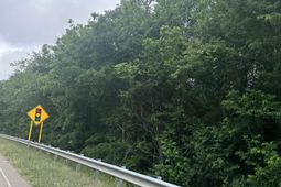 Bypass 34 photo 4