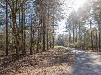 0 Trinity Church Road, Saint Stephen, SC 29479