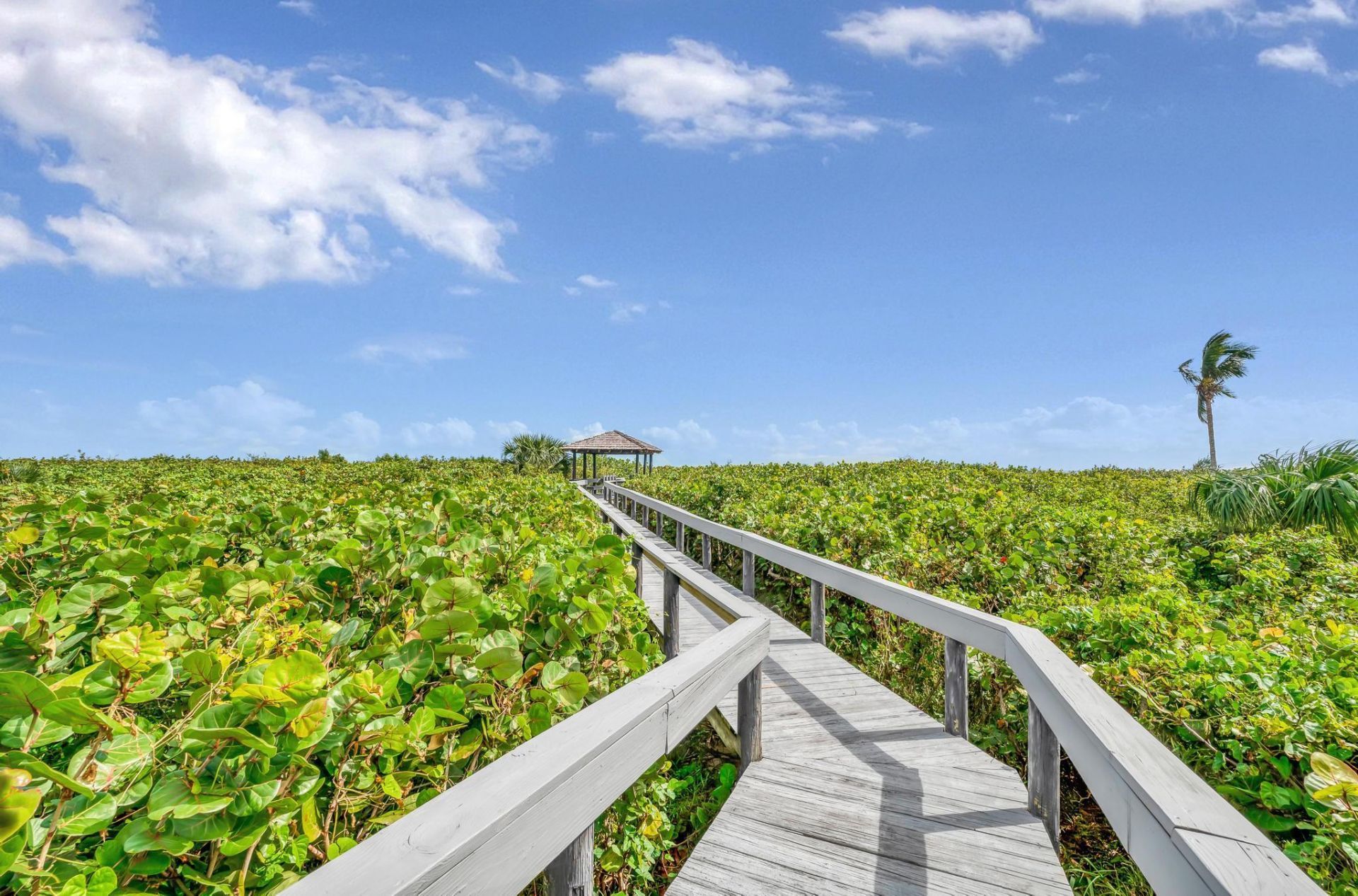 2800 N Highway A1a, Unit 302, Hutchinson Island, FL 34949 Photo