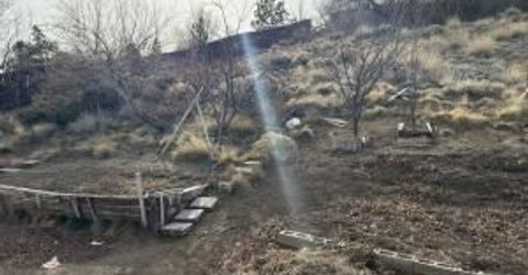 1585 Mescalero Avenue, Reno, NV 89523 Photo