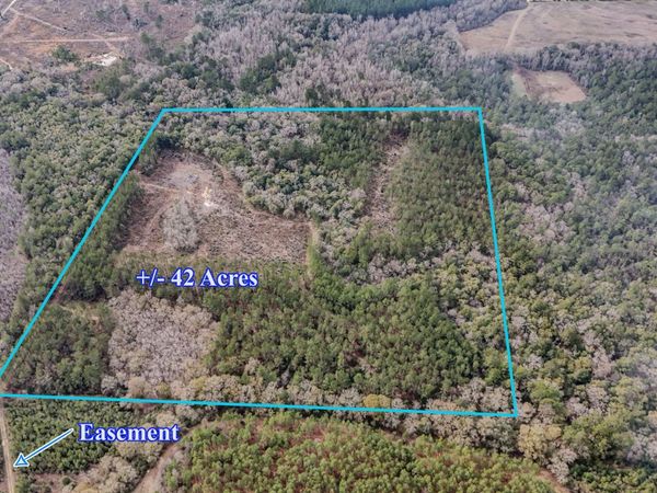 4769 DAVIS RD, Florala, AL 36442