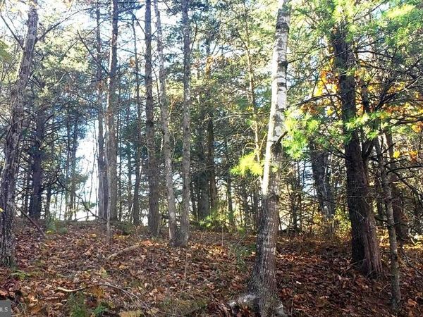 0 FAIRWAY DRIVE, Unit LOT 31, BASYE, VA 22810