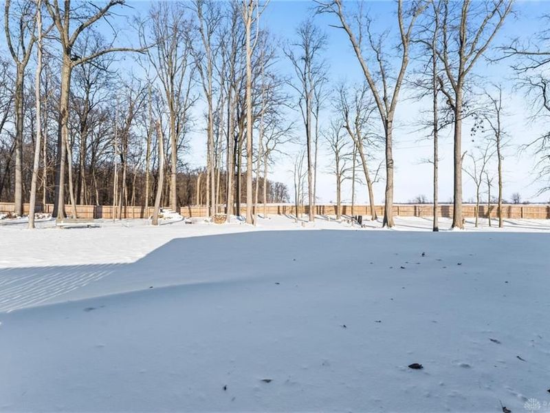 210 Timber Trail, Anna, OH 45302 Photo 72