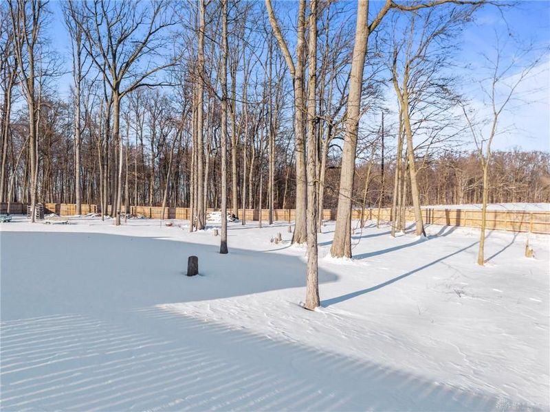 210 Timber Trail, Anna, OH 45302 Photo 75