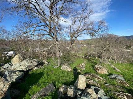 4241 Grisham Rd, Valley Springs, CA 95252 Photo