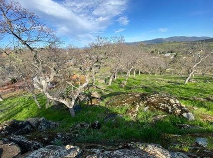 4241 Grisham Rd, Valley Springs, CA 95252 Photo
