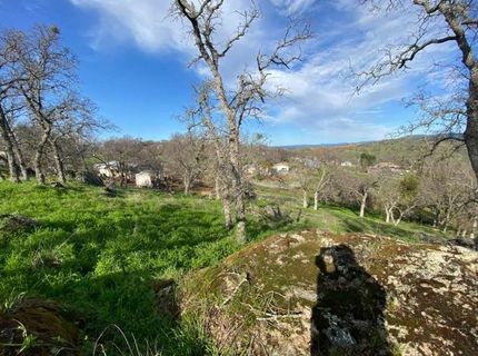 4241 Grisham Rd, Valley Springs, CA 95252 Photo