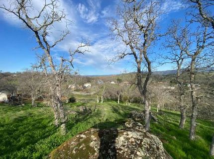 4241 Grisham Rd, Valley Springs, CA 95252 Photo