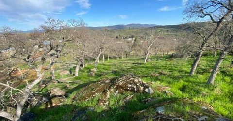 4241 Grisham Rd, Valley Springs, CA 95252 Photo