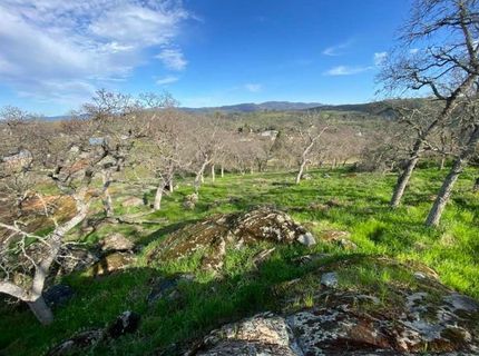 4241 Grisham Rd, Valley Springs, CA 95252 Photo