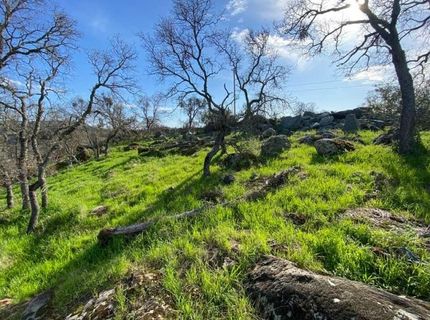 4241 Grisham Rd, Valley Springs, CA 95252 Photo