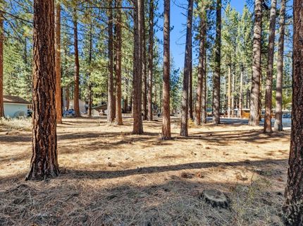 2664 Knox Ave, South Lake Tahoe, CA 96150 Photo
