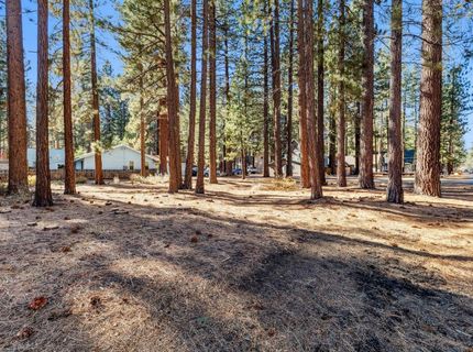 2664 Knox Ave, South Lake Tahoe, CA 96150 Photo
