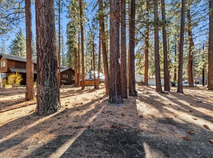 2664 Knox Ave, South Lake Tahoe, CA 96150 Photo